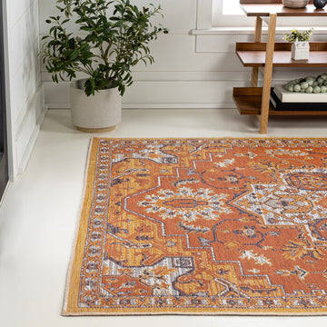 Bijan Traditional Vintage Medallion Reversible Machine-Washable Indoor/Outdoor Area Rug